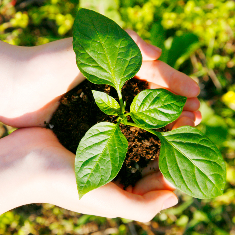 「未来の環境づくりを」私たちはリサイクルの総合プラントです